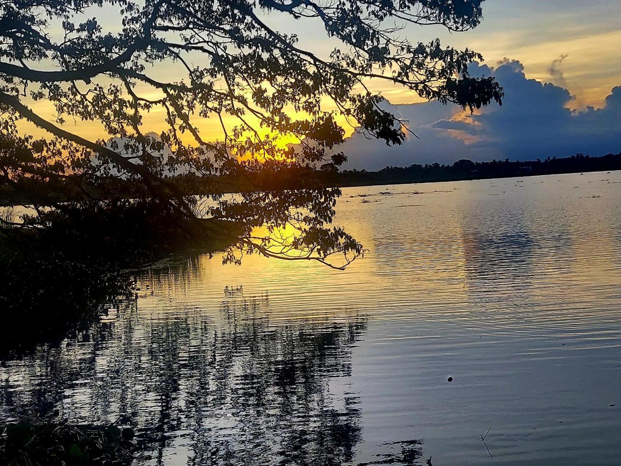 New Cormorant Lake Resort & Yala Safari Place Tissamaharama Exterior foto