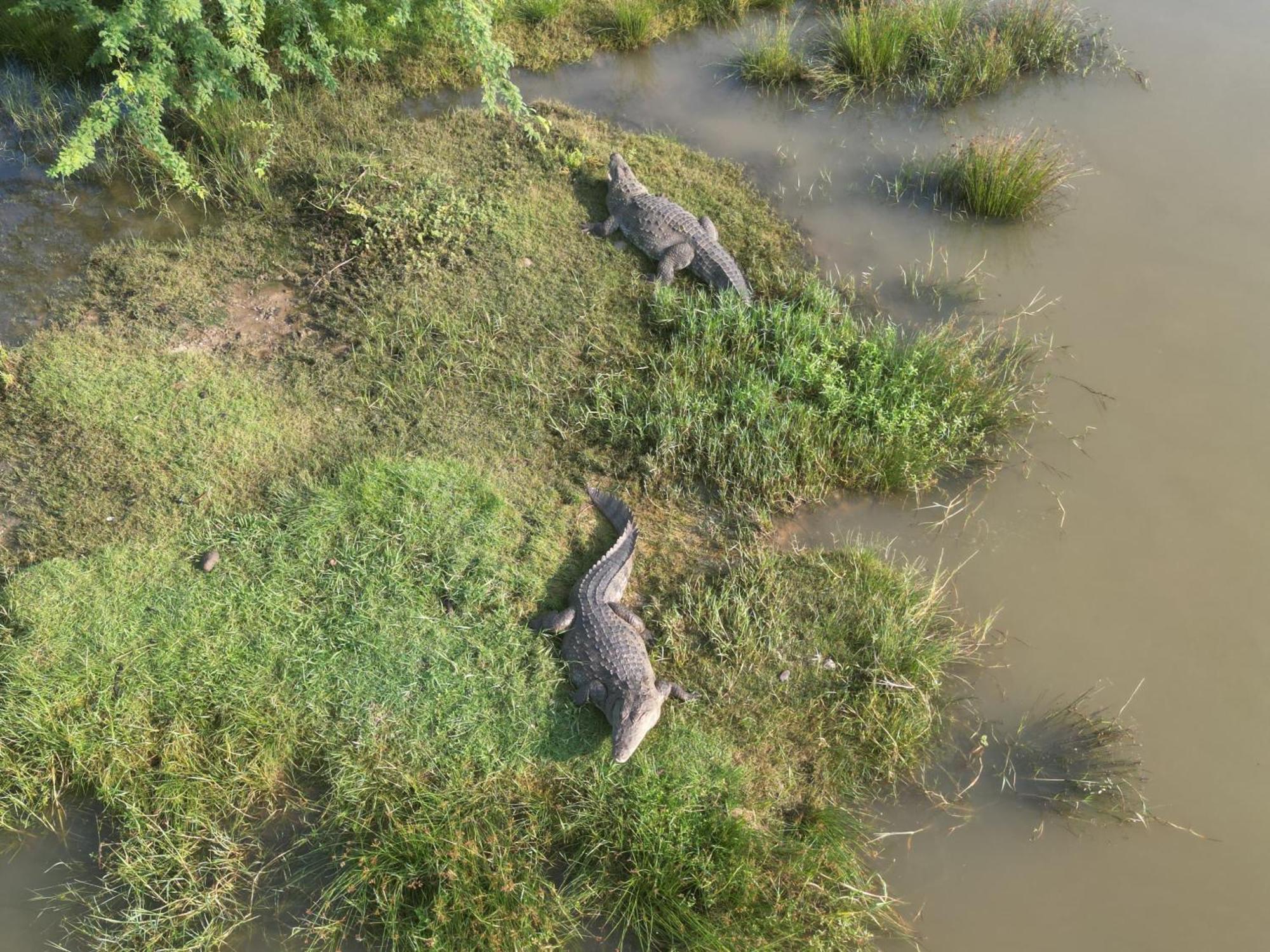 New Cormorant Lake Resort & Yala Safari Place Tissamaharama Exterior foto