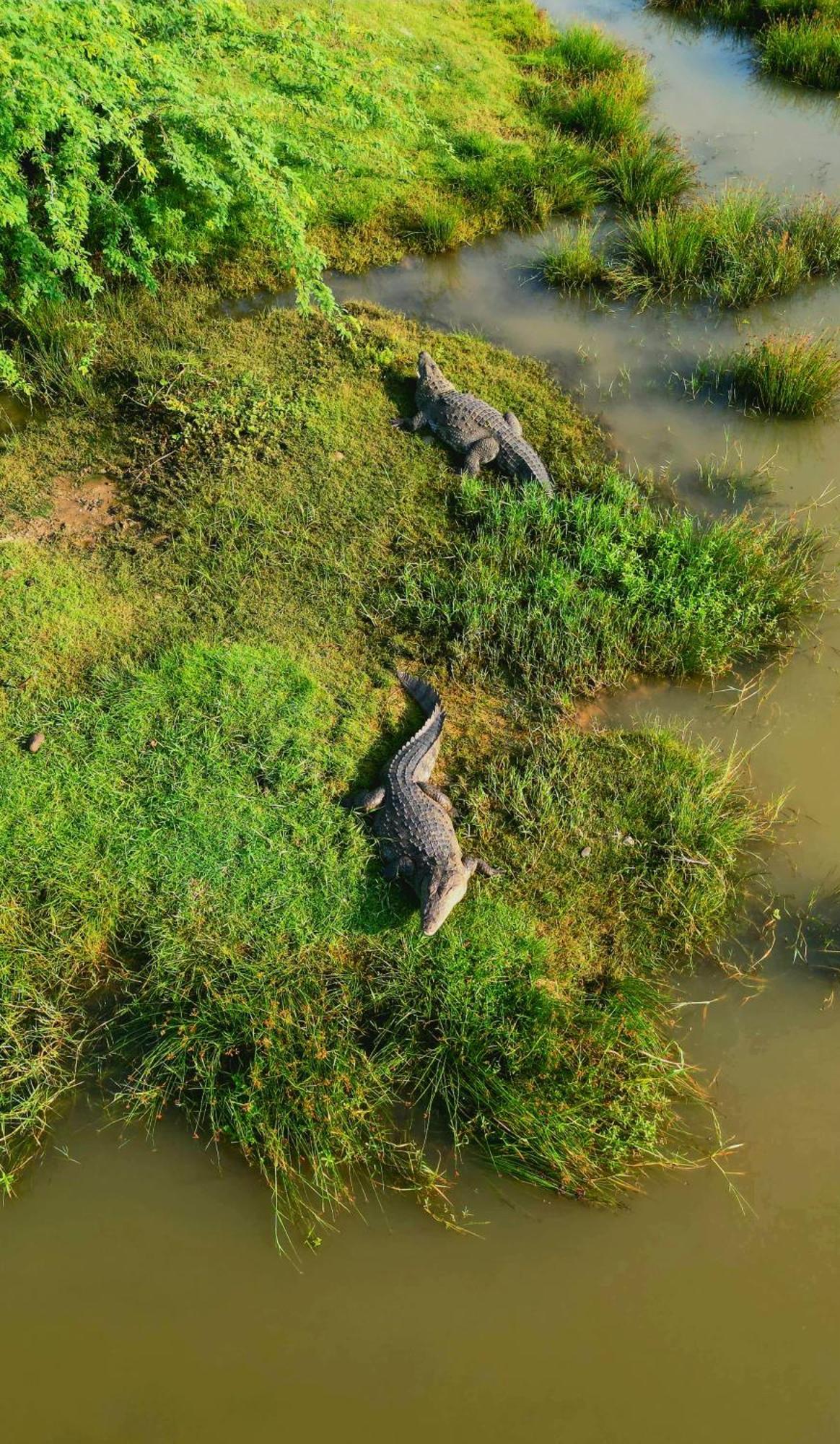 New Cormorant Lake Resort & Yala Safari Place Tissamaharama Exterior foto